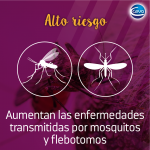 Mosquitos_AltoRiesgo